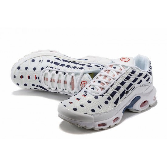 PK God Air Max Plus Tn White Blue CI9103-100 Shoes Men