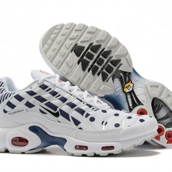 PK God Air Max Plus Tn White Blue CI9103-100 Shoes Men