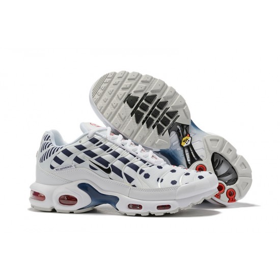 PK God Air Max Plus Tn White Blue CI9103-100 Shoes Men